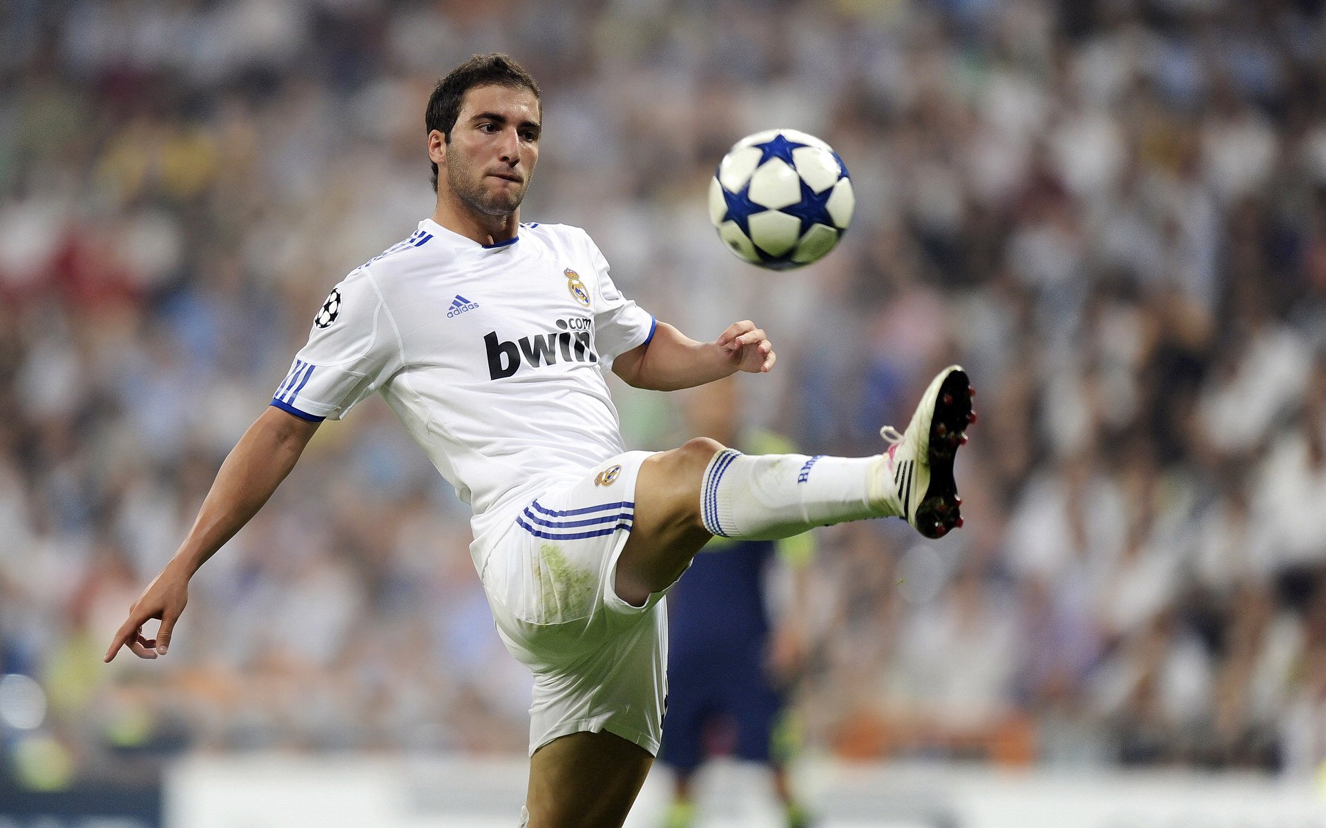 巴尔韦德式爆发，阿尔及利亚如何以战术铁网绞杀威尔士